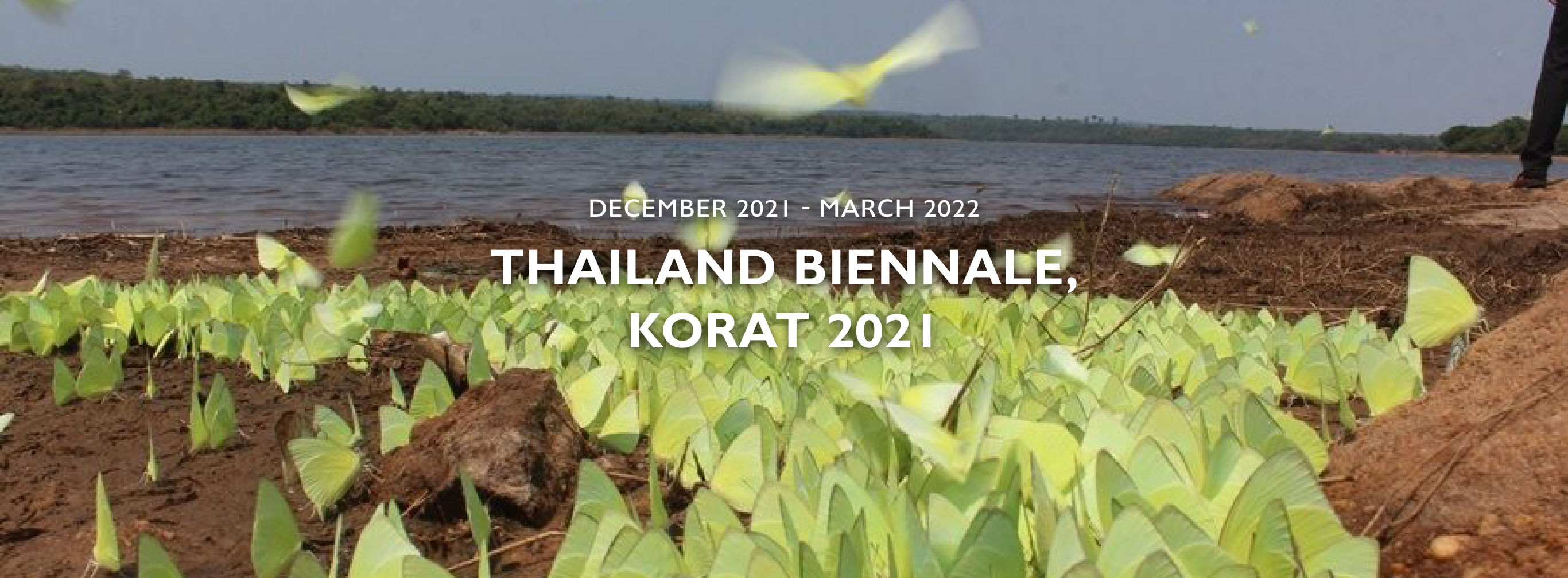 Thailand Biennale, KORAT 2021